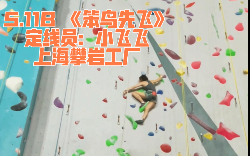 「顶绳」一条5.11B(绿色《笨鸟先飞》)@上海攀岩工厂哔哩哔哩bilibili