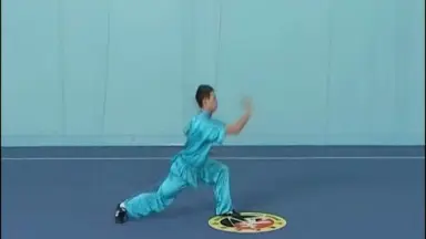 韓氏長拳-哔哩哔哩_Bilibili