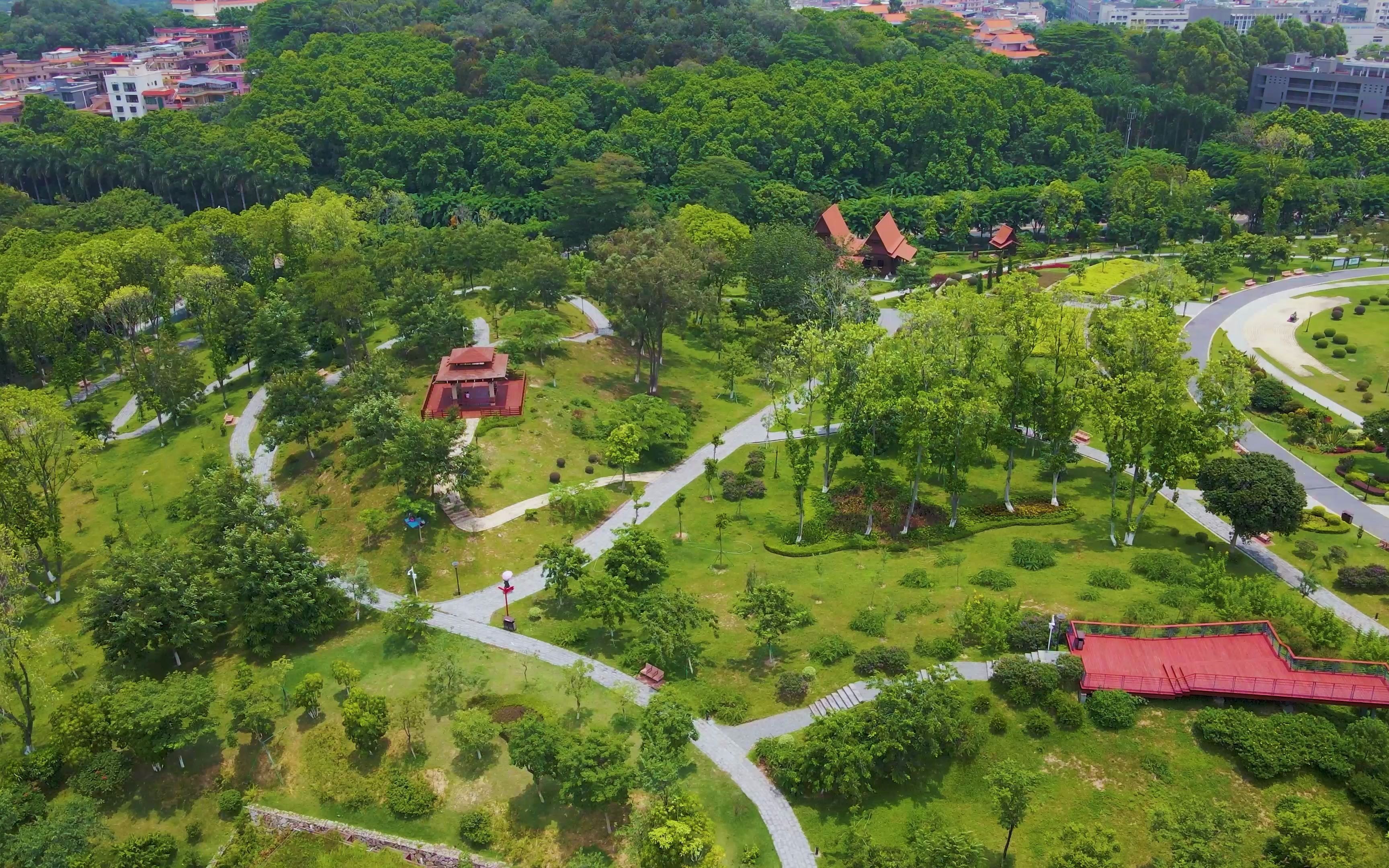 东莞植物园全景图图片