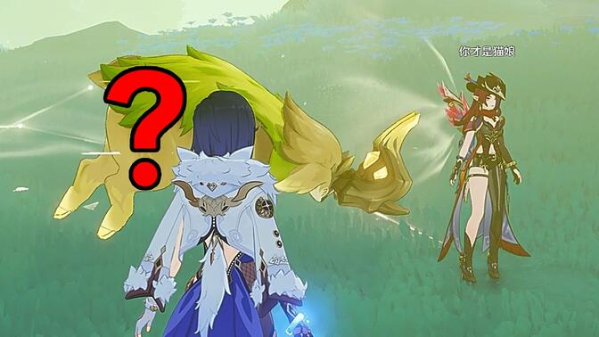 【原神】可以创飞好友的獭懒羊？！月之四有哪些新的解谜新玩法？