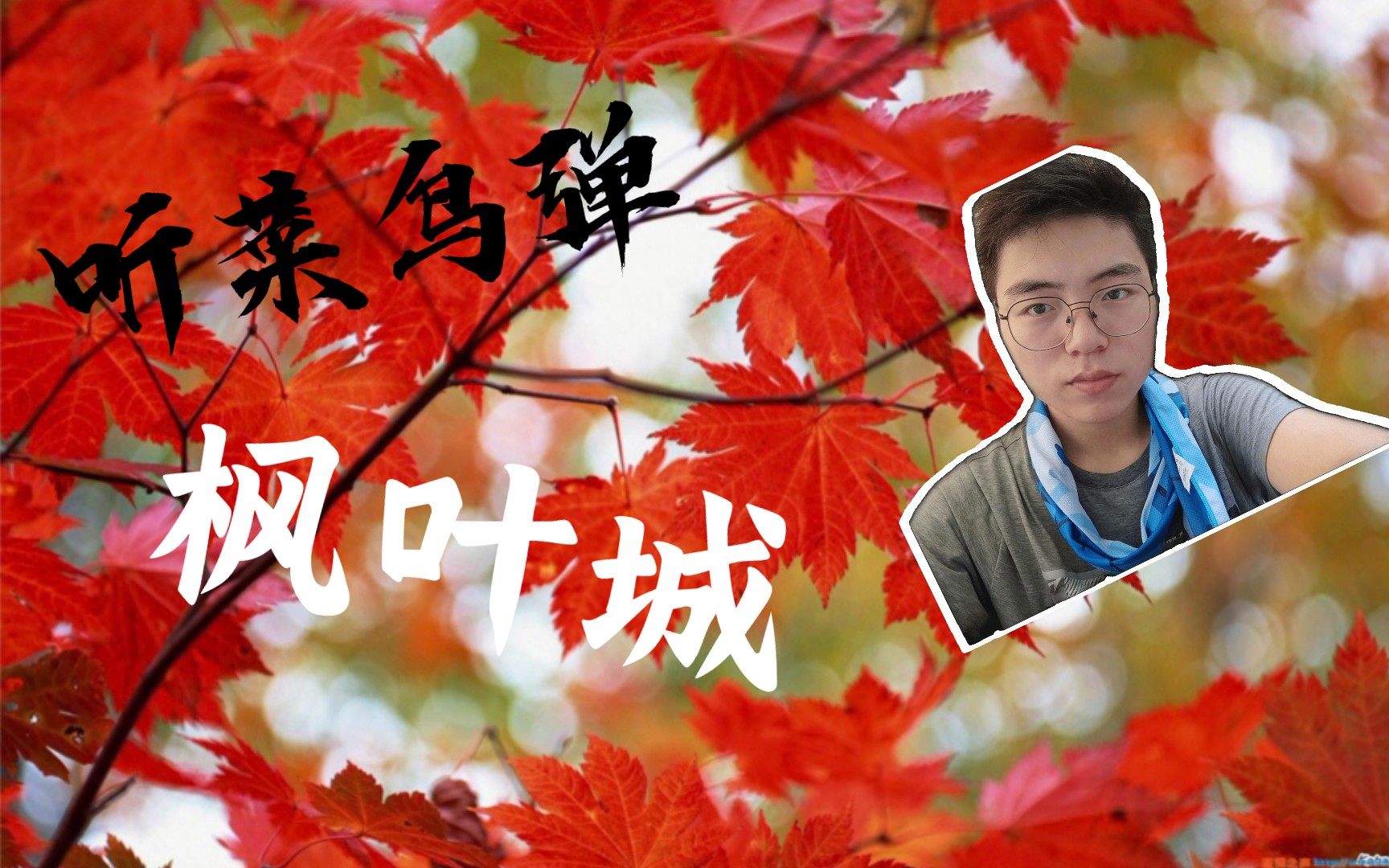 枫叶城(杨昊昆)吉他指弹