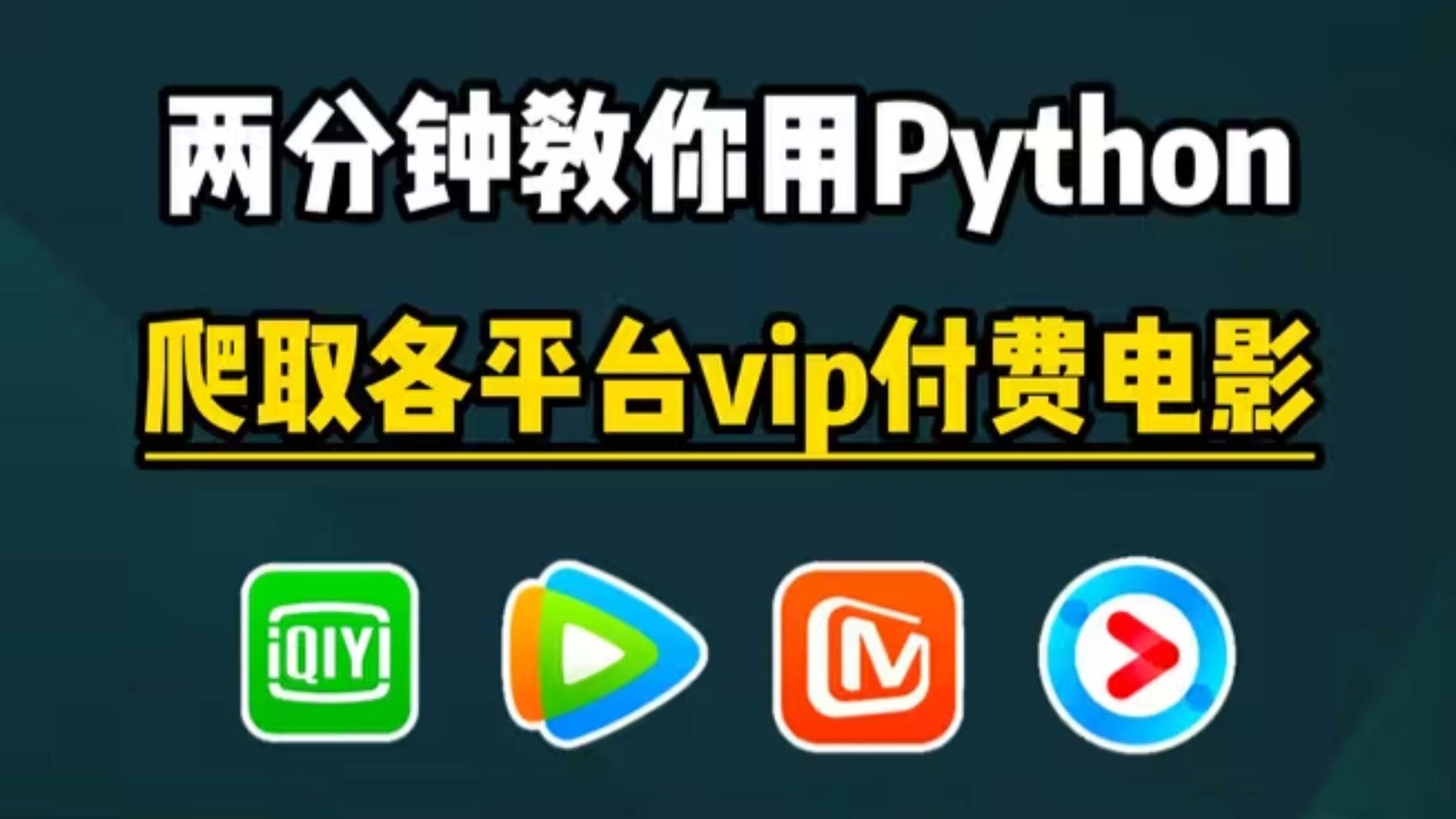 小电影PYTHON，小电影动作片完整版免费观看高清