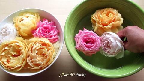 玫瑰 月季 蔷薇 区别在哪里 英文都是rose 哔哩哔哩 玫瑰 月季 蔷薇 区别在哪里 英文都是rose 哔哩哔哩