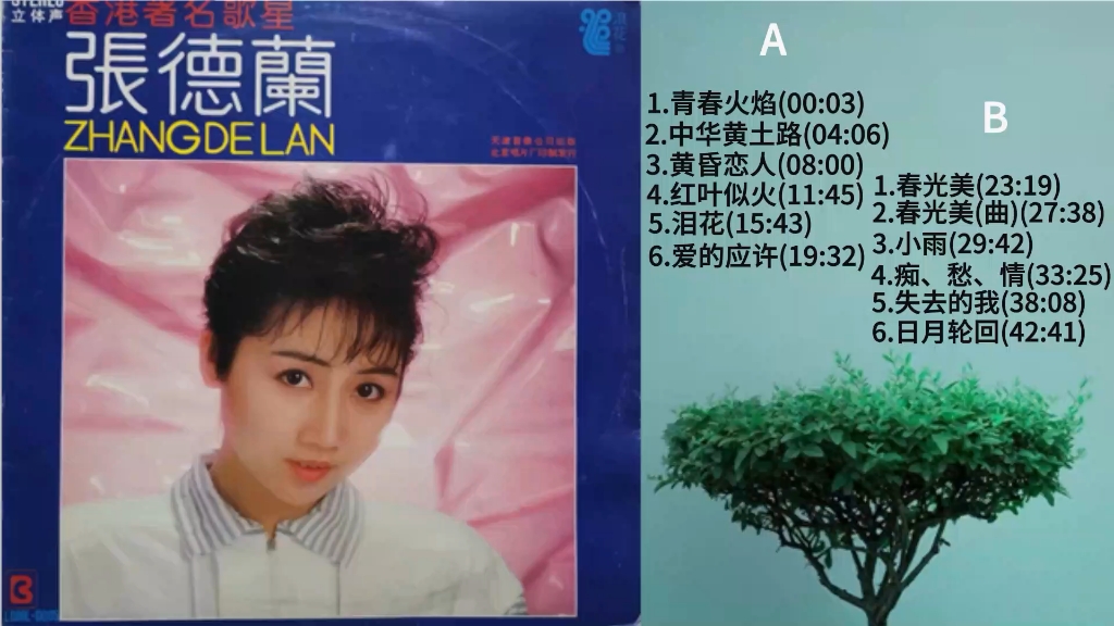 张德兰《春光美》专辑(黑胶唱片内录),黑胶模拟味的享受