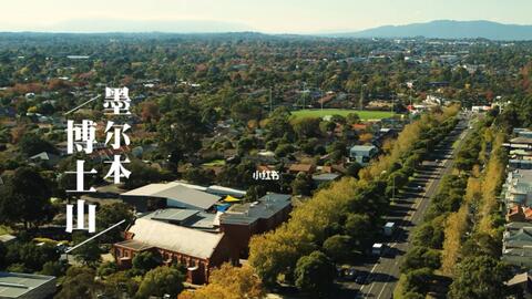 搜索 哔哩哔哩 つロ干杯 Bilibili