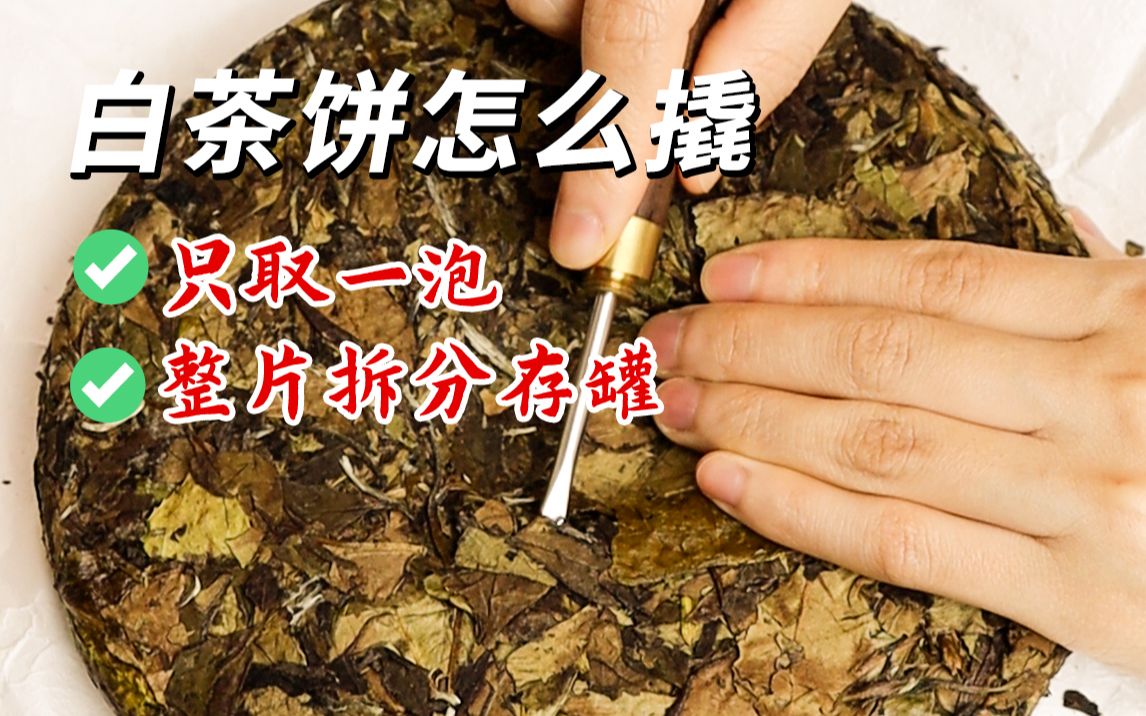 白茶饼怎么撬?看完这一篇就会啦❗❗哔哩哔哩bilibili