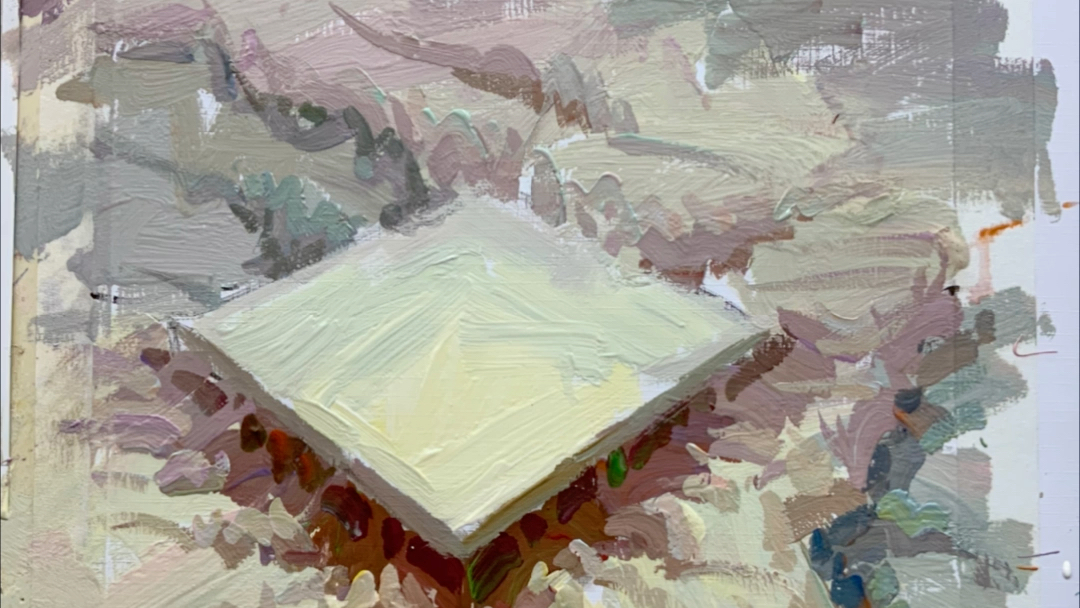 浅色衬布步骤图