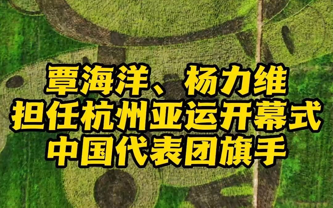 杭州亚运会中国代表团旗手正式公布!覃海洋,杨力维担任开幕式旗手!哔哩哔哩bilibili