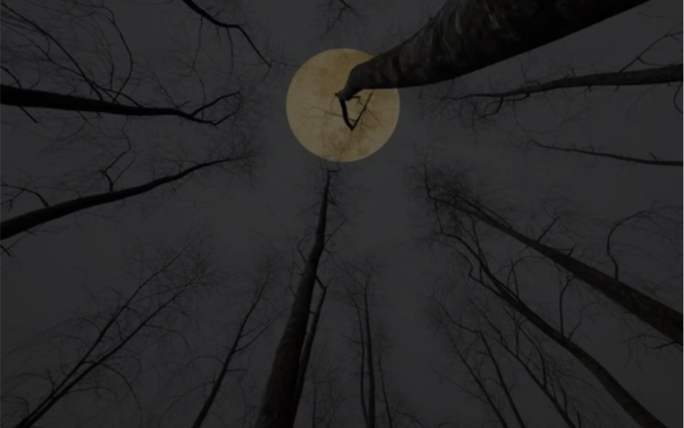 "你是我在深渊中仰望的月亮"