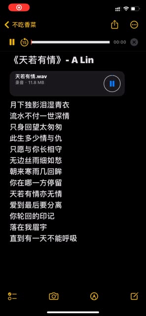 天若有情歌曲歌词(天若有情歌曲歌词完整版)