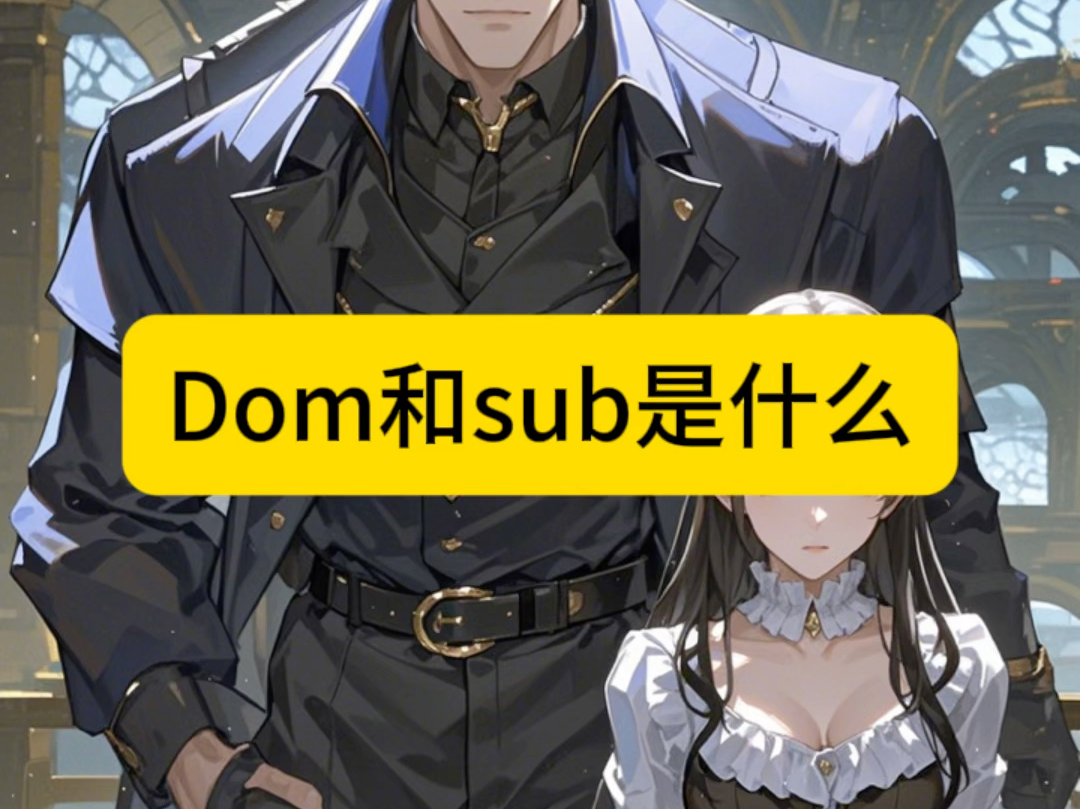 dom和sub是什么