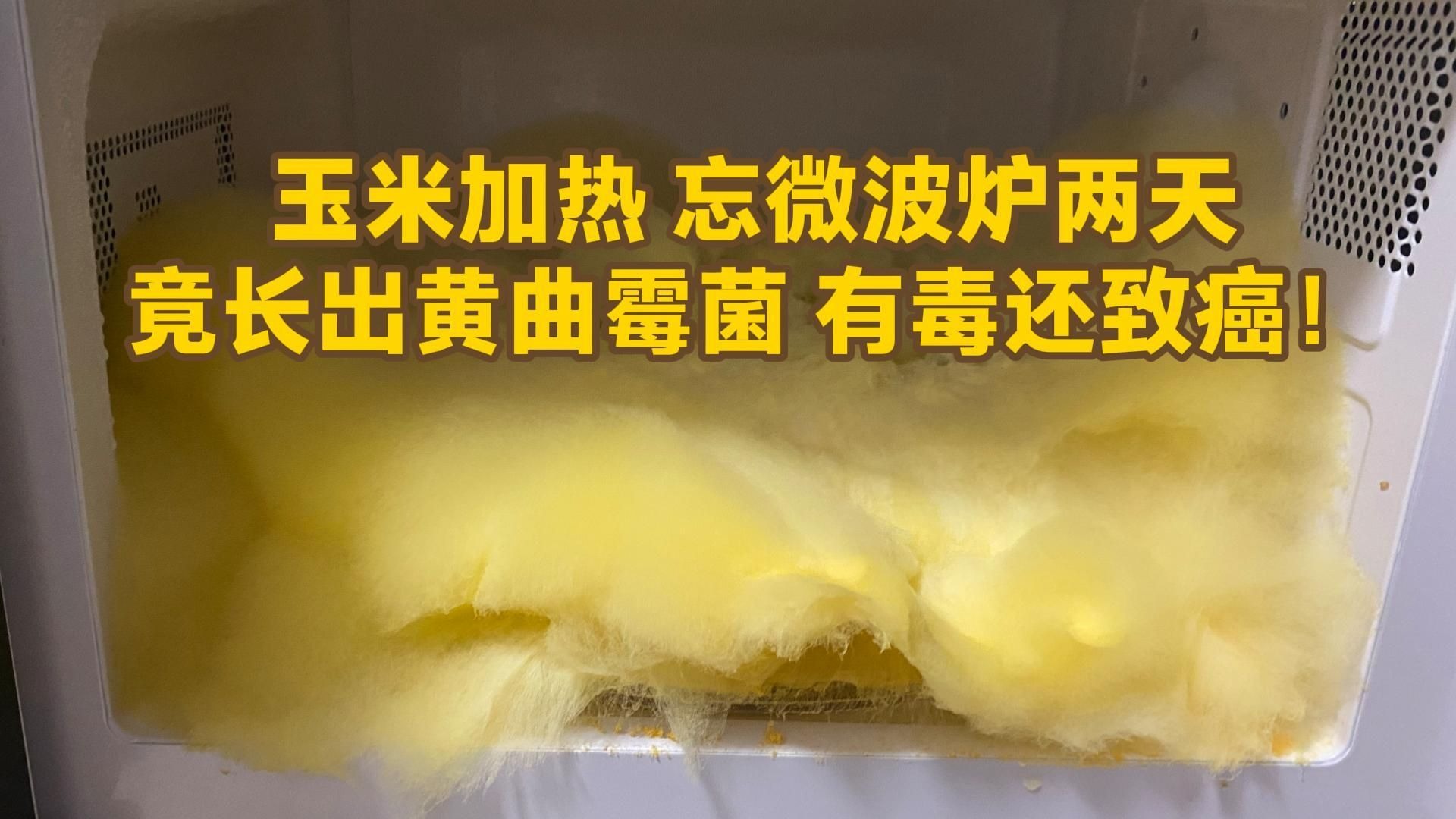 竟是黄曲霉菌!网友:有毒还致癌,赶紧扔掉!