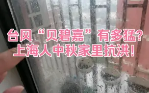 Download Video: 台风“贝碧嘉”有多猛？上海人中秋家里抗洪！暴雨根本堵不住！