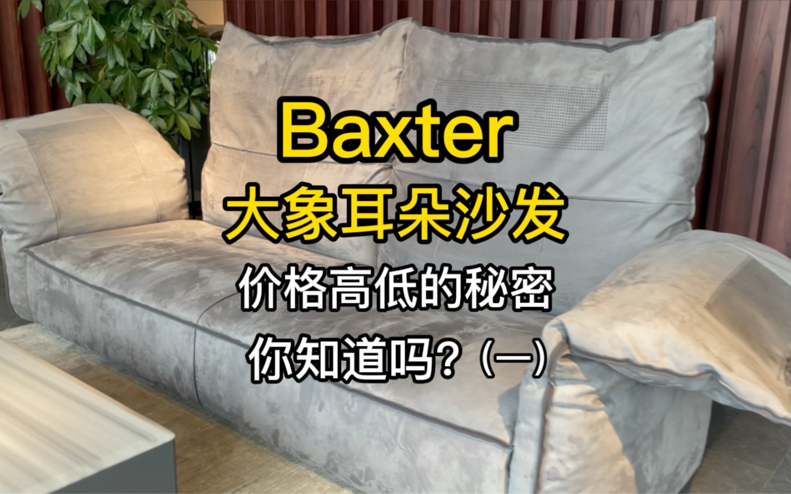 Baxter大象耳朵沙发,价格高低的秘密您知道吗?哔哩哔哩bilibili