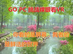 Download Video: 【裸眼VR】啥叫视觉盛宴，看了虚拟巨幕再说