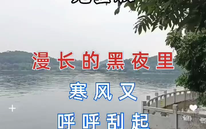 [图]7033760108865703199-一首非常好听的伤感歌曲 酒醉的雨滴 听到心酸，催人落泪 伤感音乐 经典老歌 热门音乐