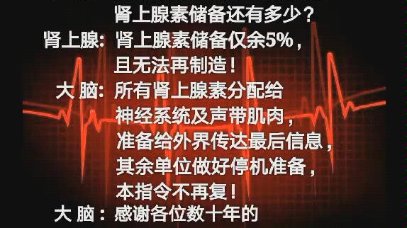 为什么会有回光反照哔哩哔哩bilibili