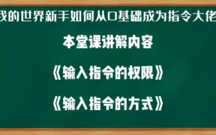 下载视频: 我的世界新手如何从0基础成为指令大佬1：基础知识点