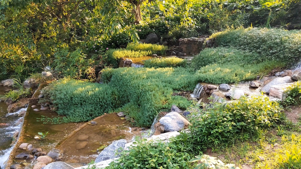 cqu后山(×) 虎溪人民公园(77)