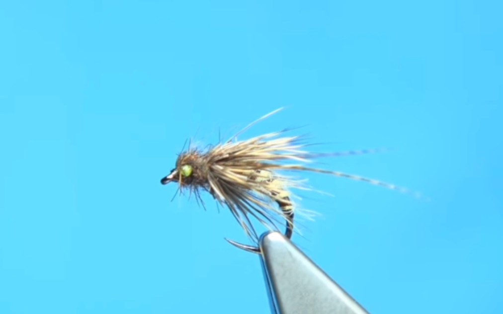 tying a struggling caddis pupa by davie mcphail正在羽化的石蚕蛾