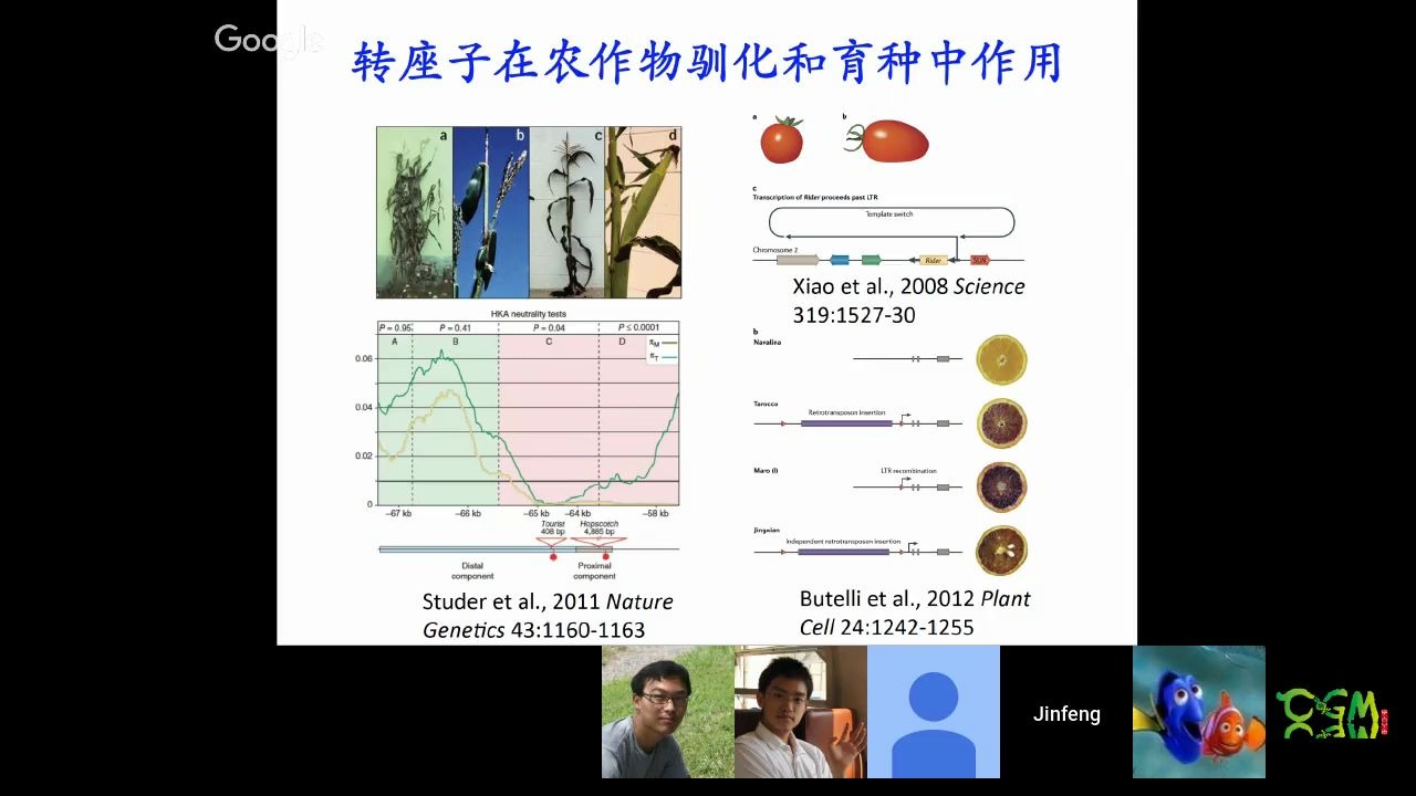 CGM第五十期:陈金锋博士《Tracking the burst of an active transposon family in rice》哔哩哔哩bilibili