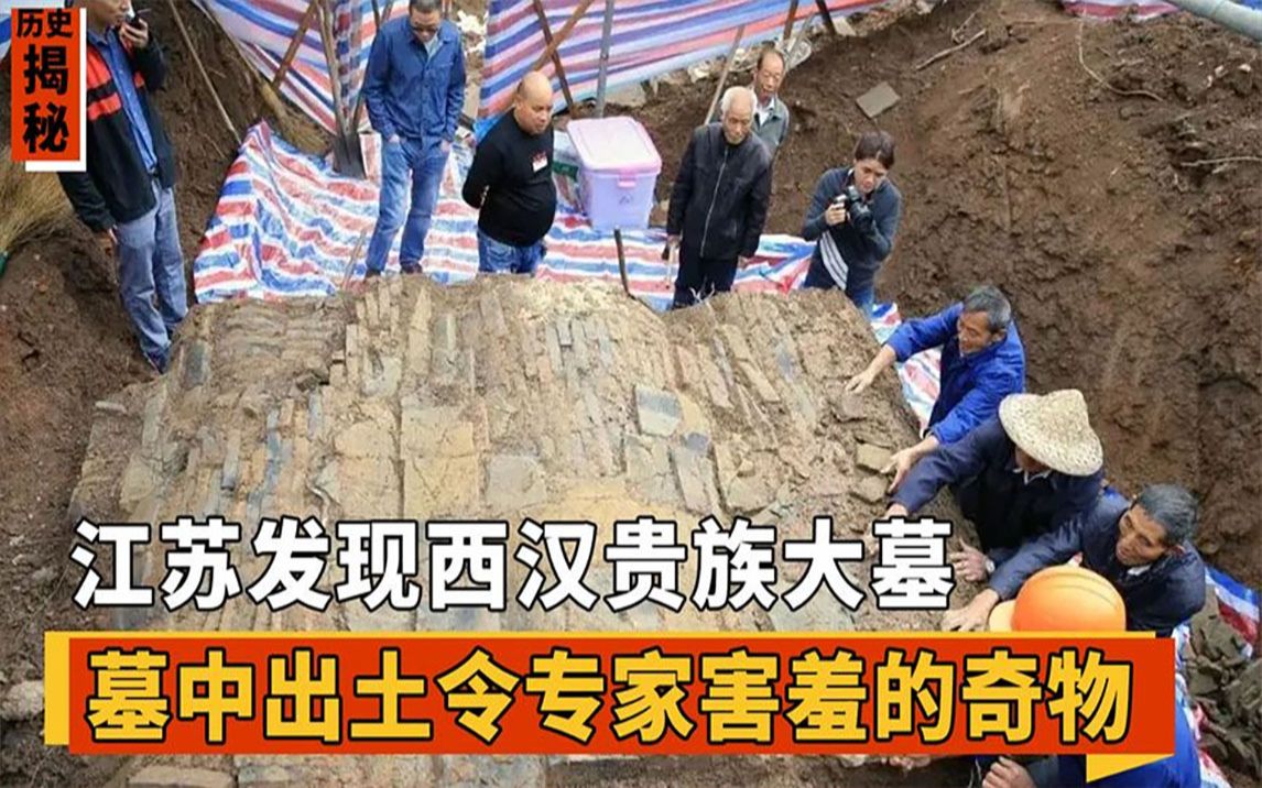 江苏发现西汉贵族大墓,墓中出土奇物“铜祖”,专家看了面红耳赤哔哩哔哩bilibili