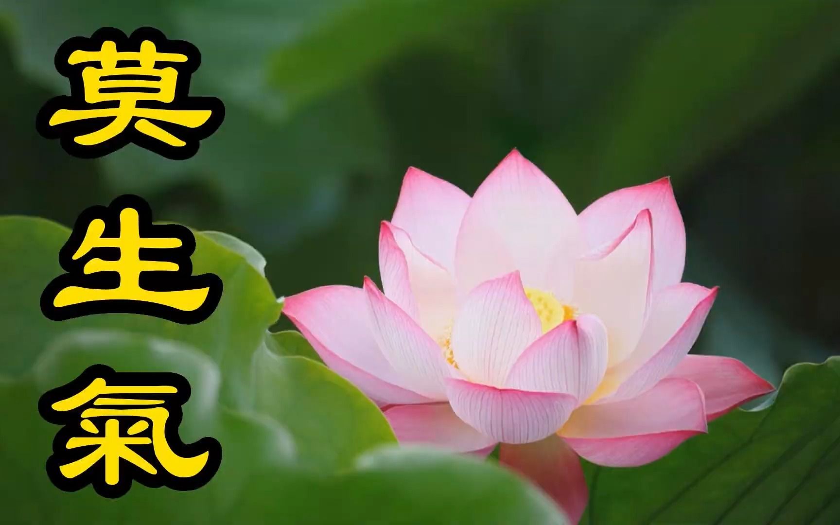 莫生气:当你动怒的时候,想想这4个问题,你就不气了