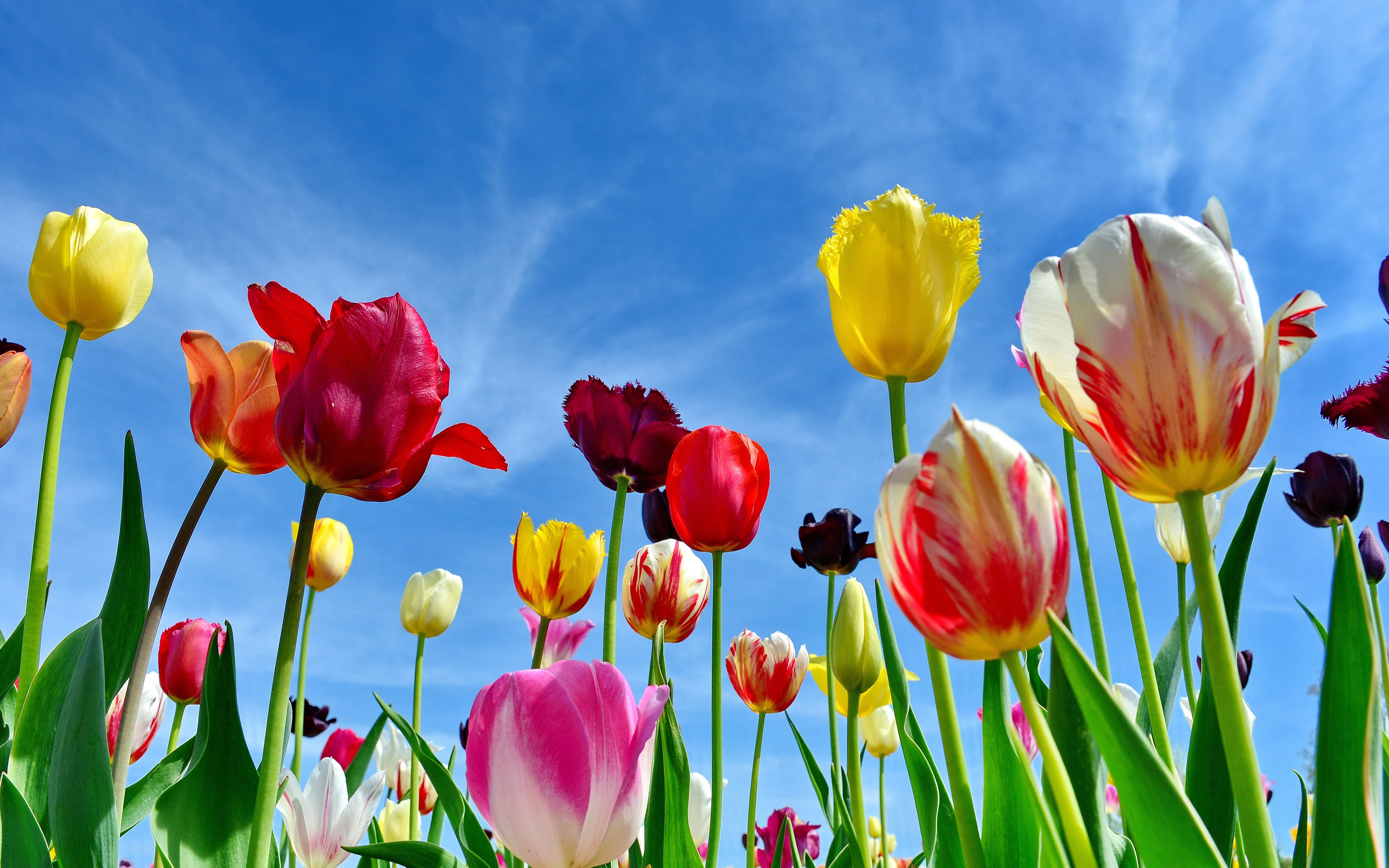 必应壁纸月度200秒大赏!2021年5月