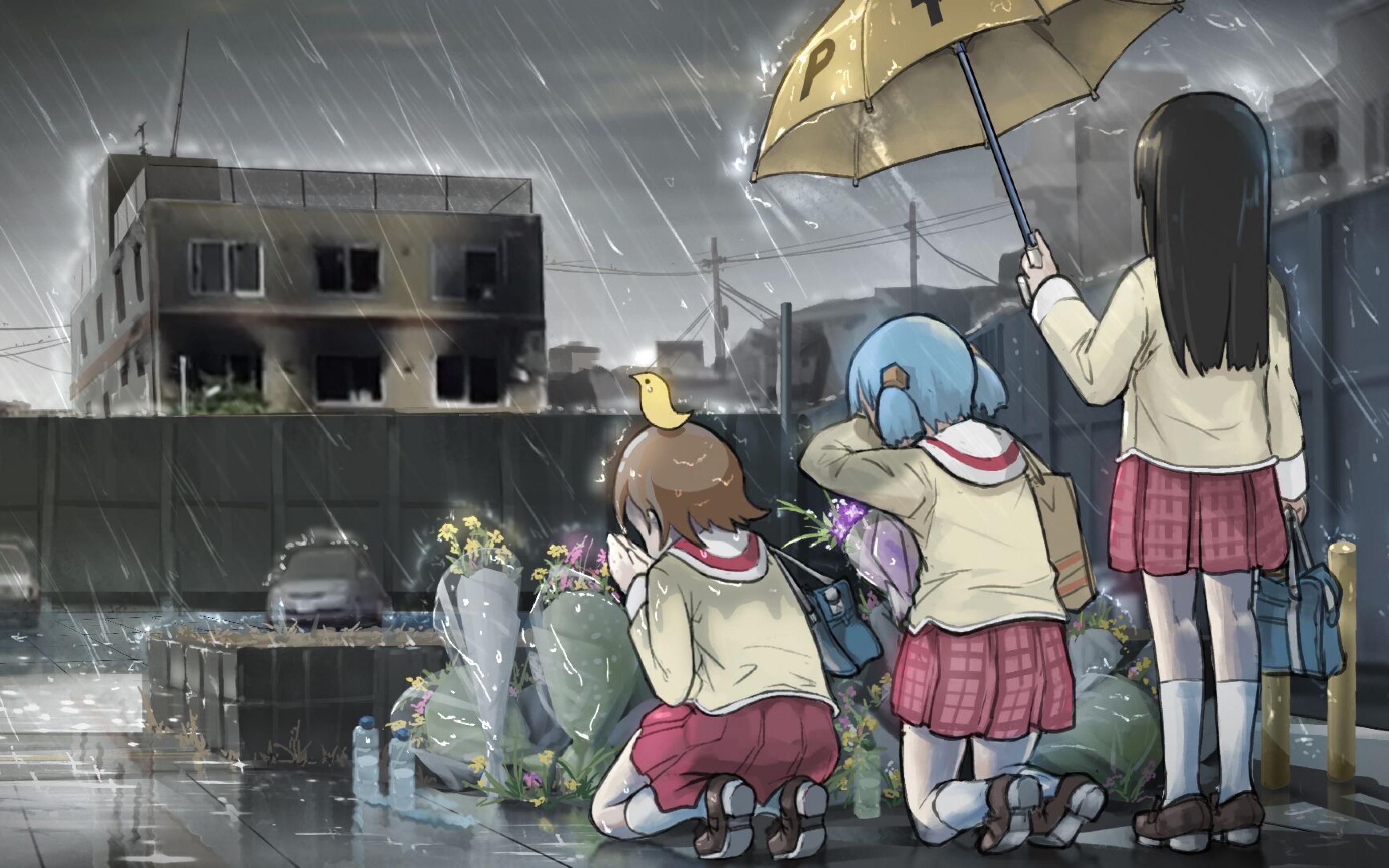 活动作品京阿尼我为何在哭泣