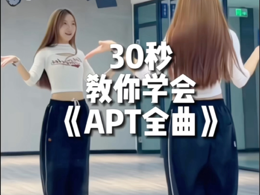 《APT全曲》适合零基础的舞-bili_61456938781-默认收藏夹-哔哩哔哩视频