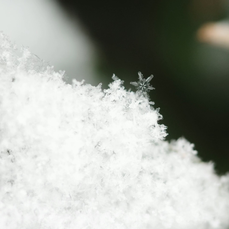 36种雪花形状实拍实景图片