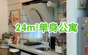 下载视频: 24m²一室一厅 | 月供1800（我的婚前小房子）