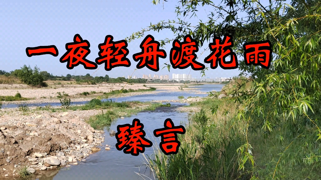 听觉盛宴,令人耳目一新的歌曲《一叶轻舟渡花雨》唯美伤感