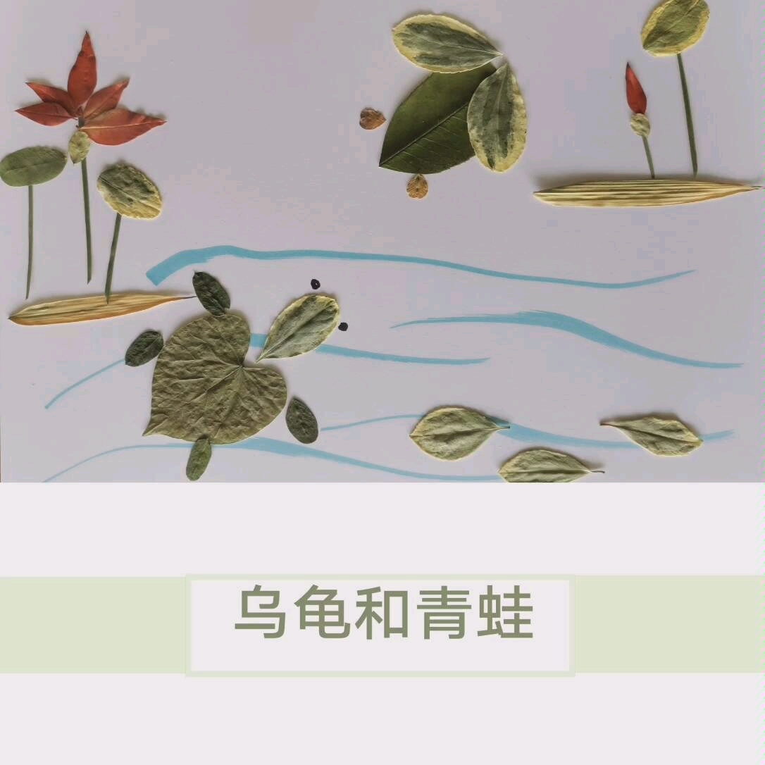 原创手工树叶画作业《小青蛙和小乌龟》哔哩哔哩bilibili