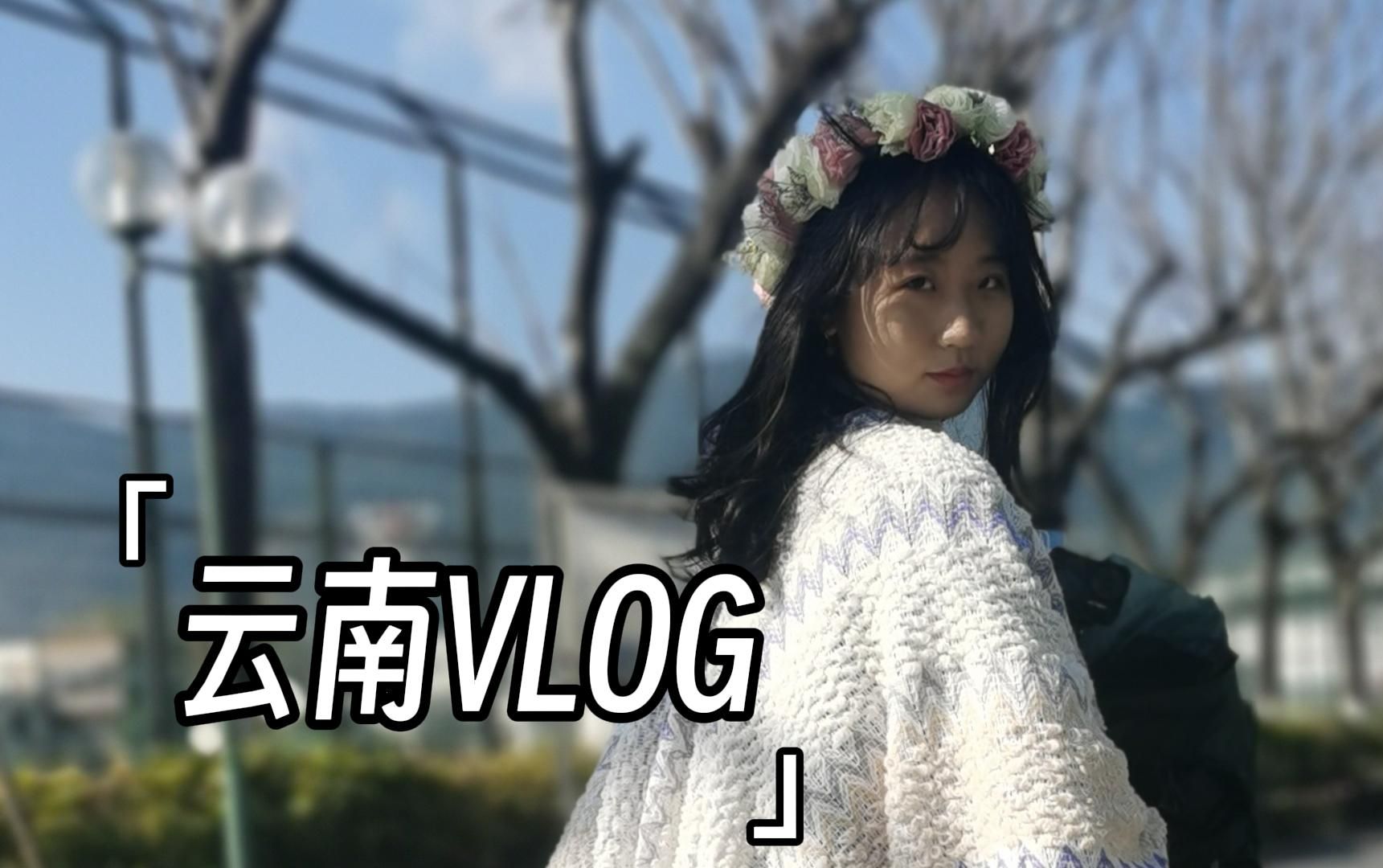 【云南VLOG】官渡古镇、海晏村和斗南花市哔哩哔哩bilibili