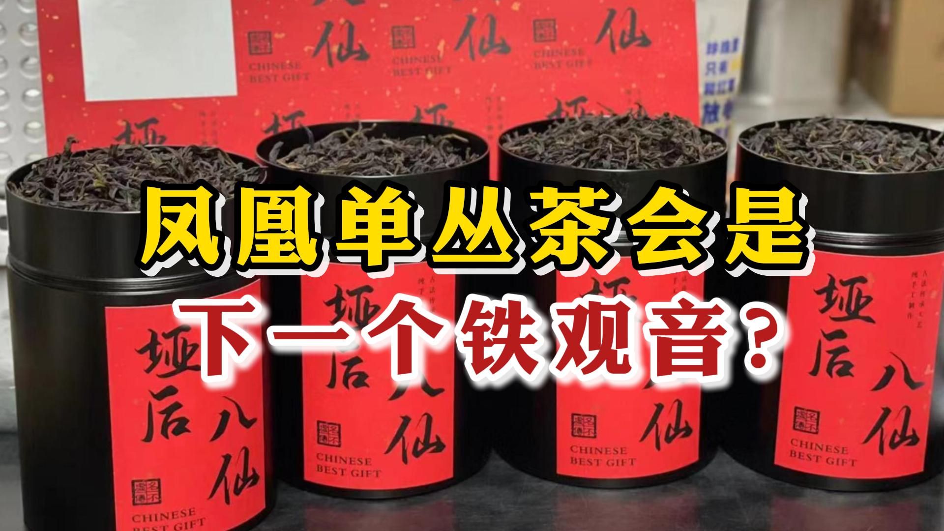 天价茶!凤凰单丛茶会是下一个铁观音?茶老板讲出实情哔哩哔哩bilibili