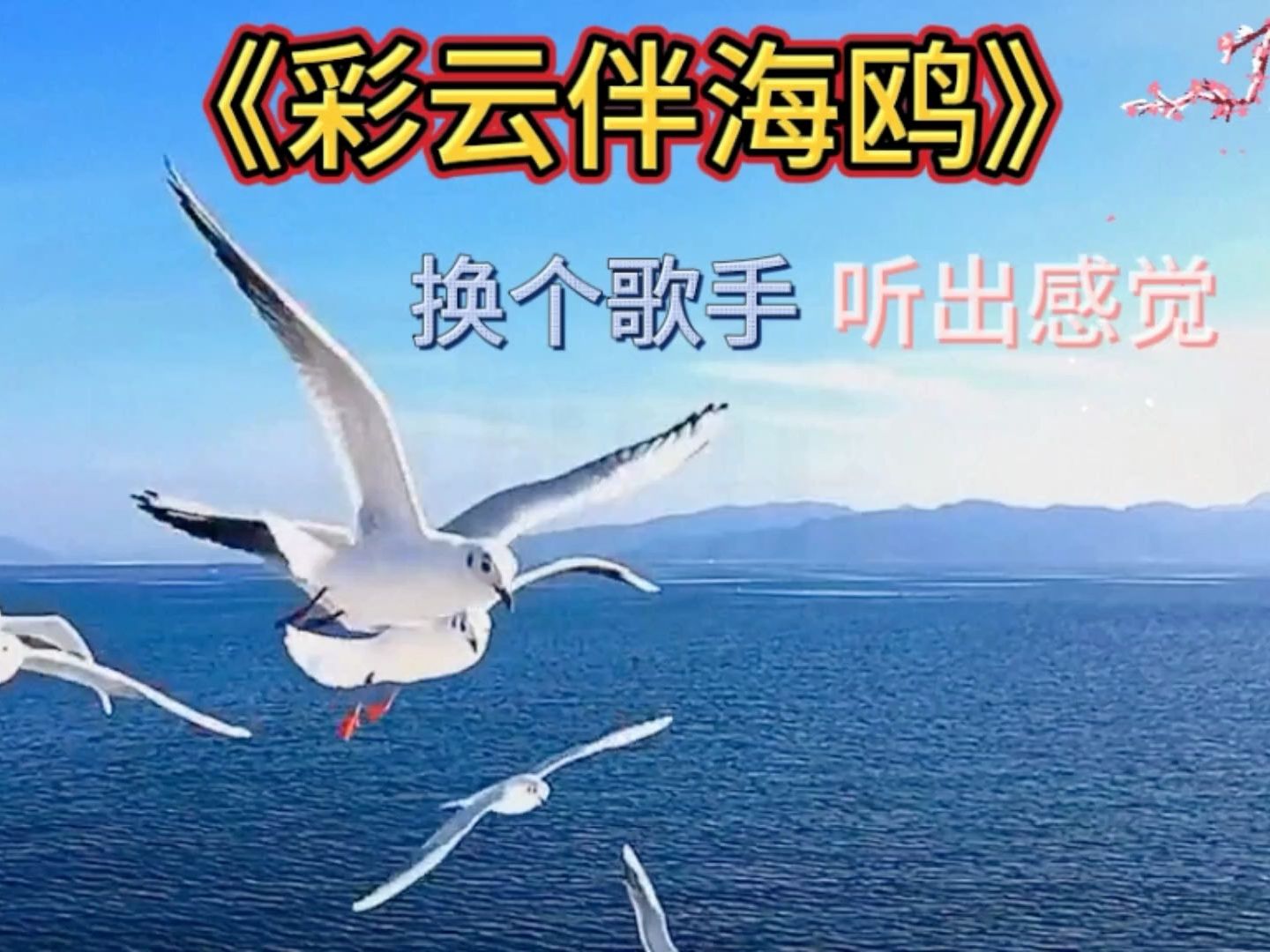 网红音乐今天更新歌曲:《彩云伴海鸥》,换个歌手,听出感觉!