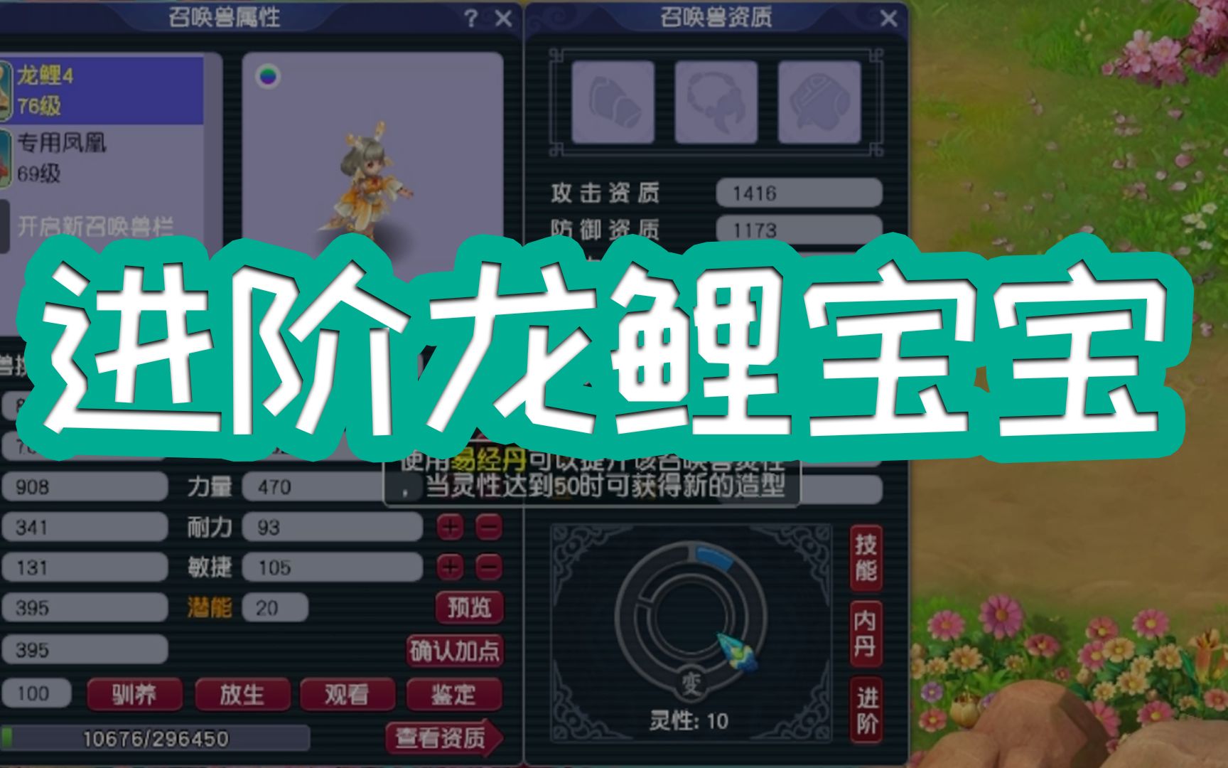 上班梦幻5开04:进阶龙鲤宝宝