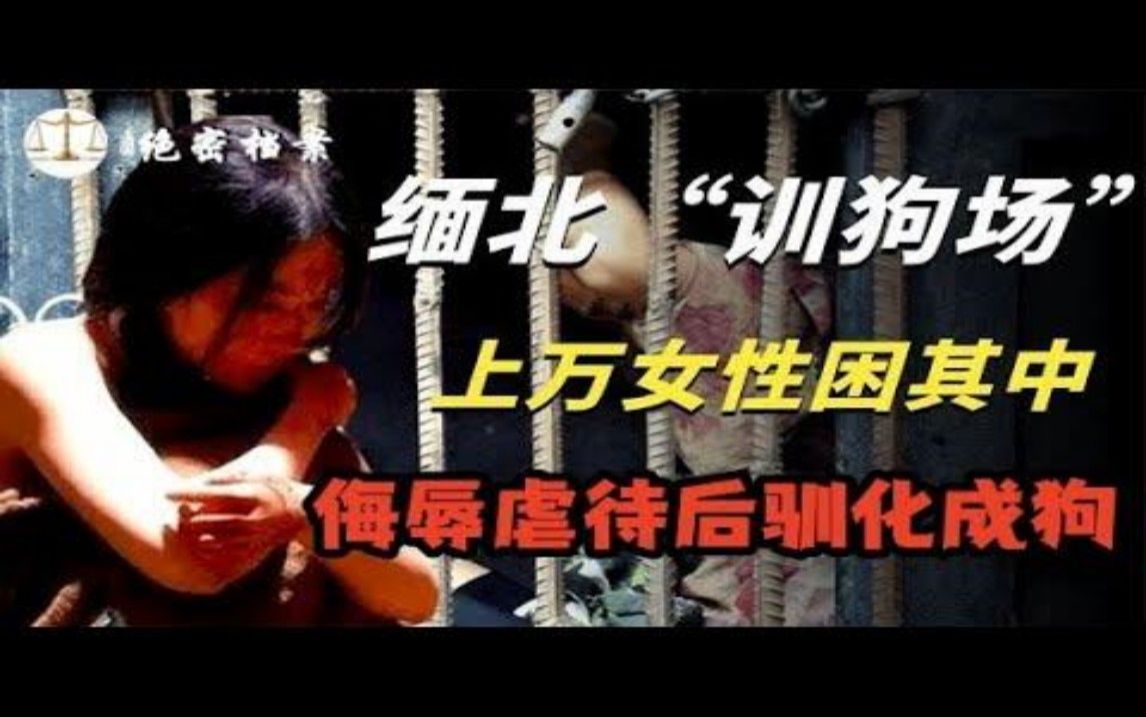 [图]卖掉器官抛尸，揭露囚禁上万女性的“缅北训狗场”！