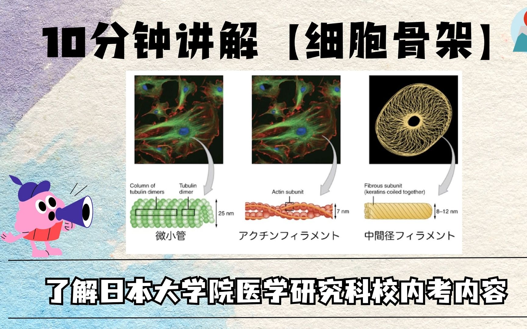 [图]10分钟讲解【细胞骨架】