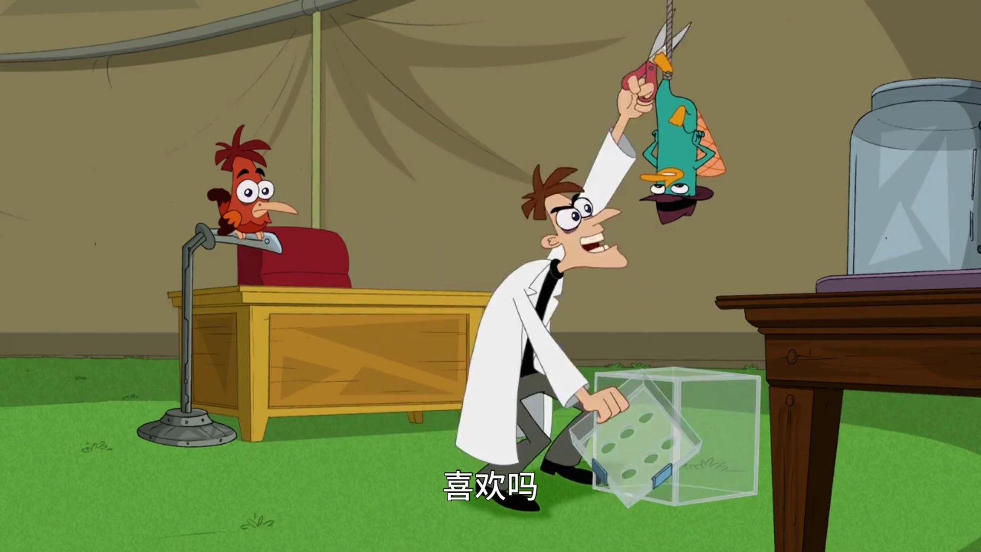 飞哥与小佛第三季7.2肉饼大赛(博士把自己吃进了医院哈哈哈)