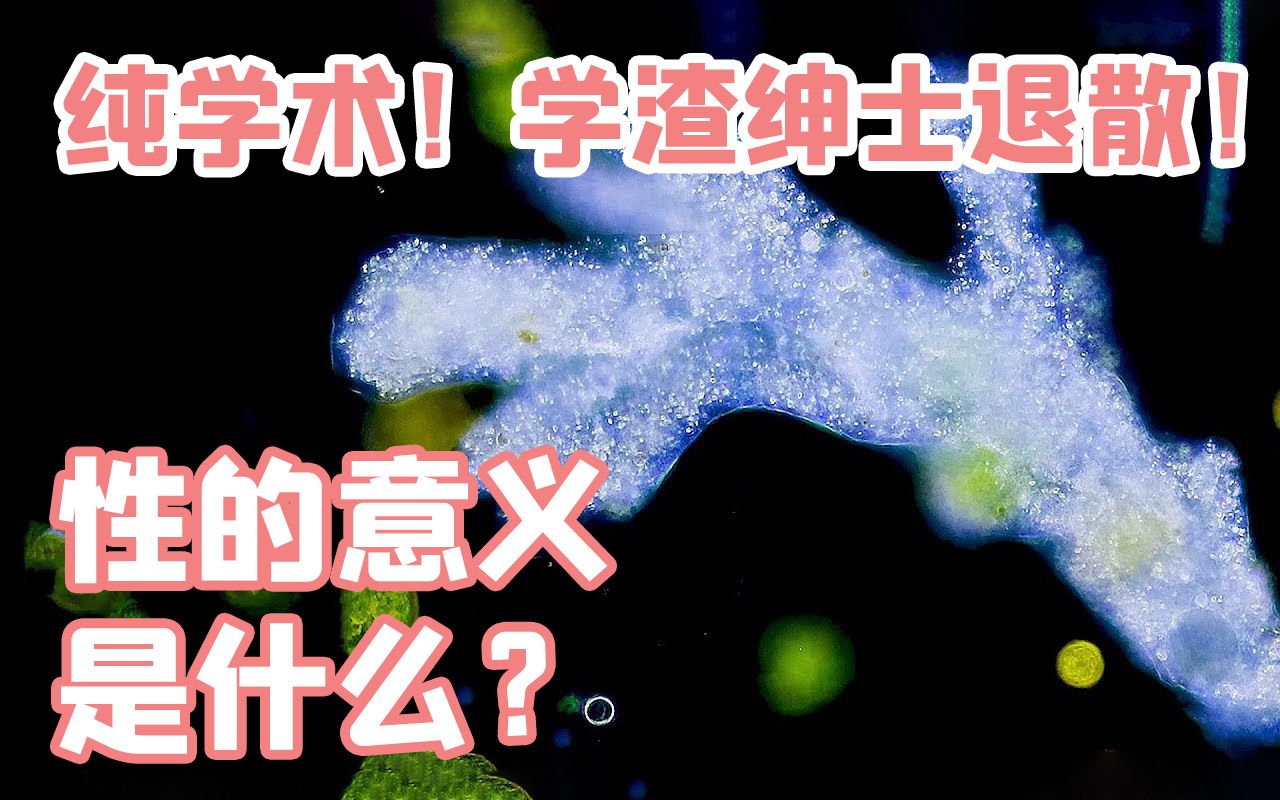 [图]【硬核科普】性的意义是什么？纯学术，绅士远离，学渣退散（熟肉）