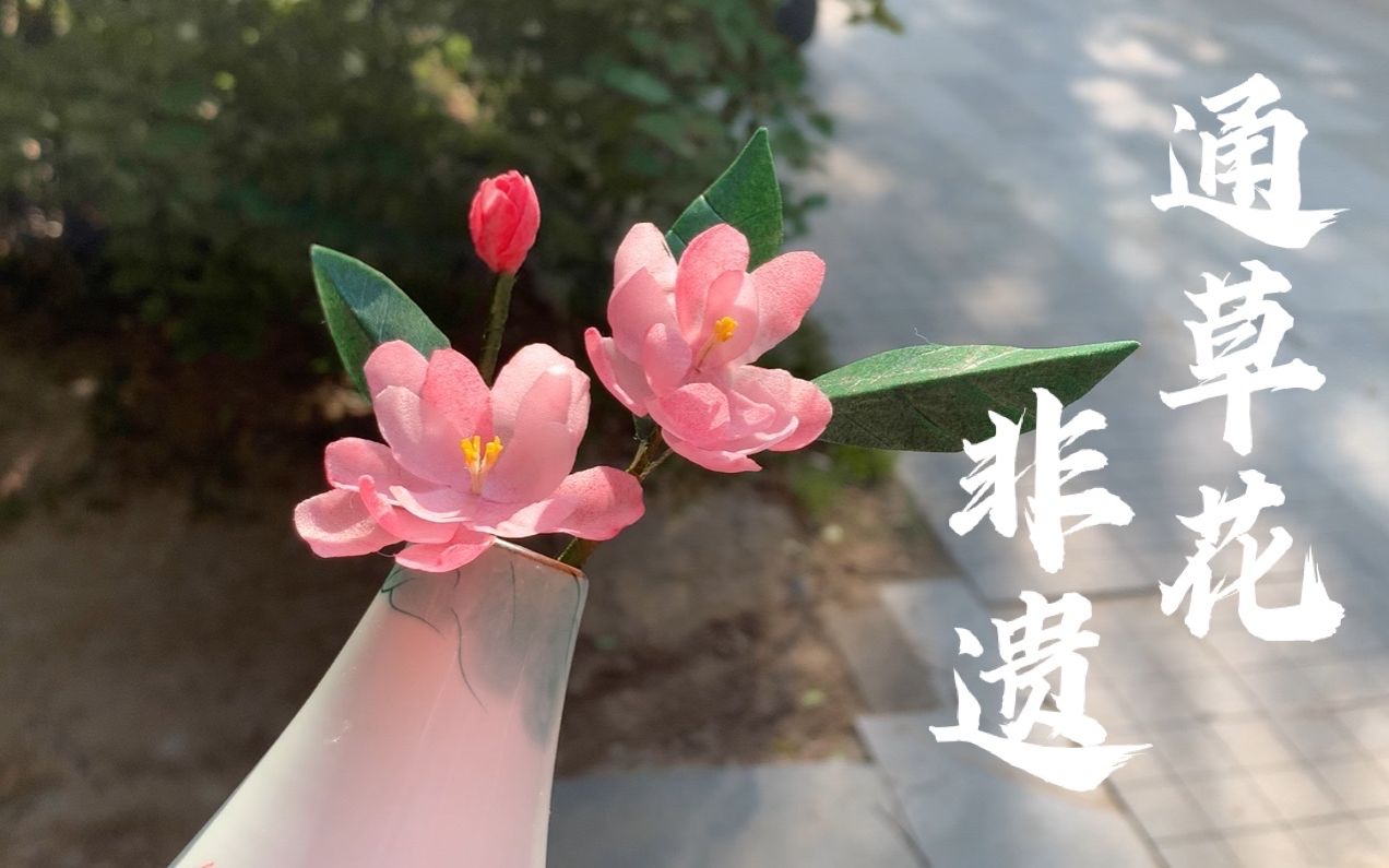 [图]手残包会的通草花教程！这花真不是从树上摘的！