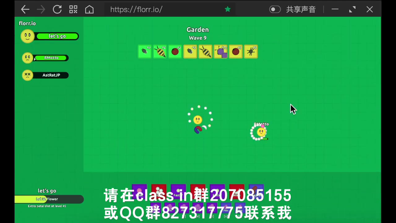 florr.io配置讲解(后期会更新更全的)哔哩哔哩bilibili