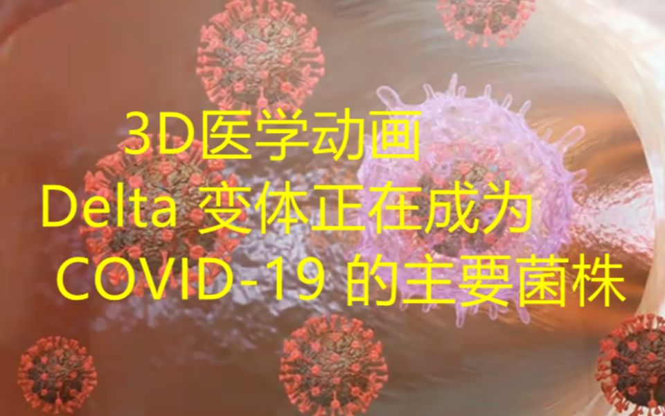 Delta 变体正在成为 COVID19 的主要菌株3D医学动画科普哔哩哔哩bilibili