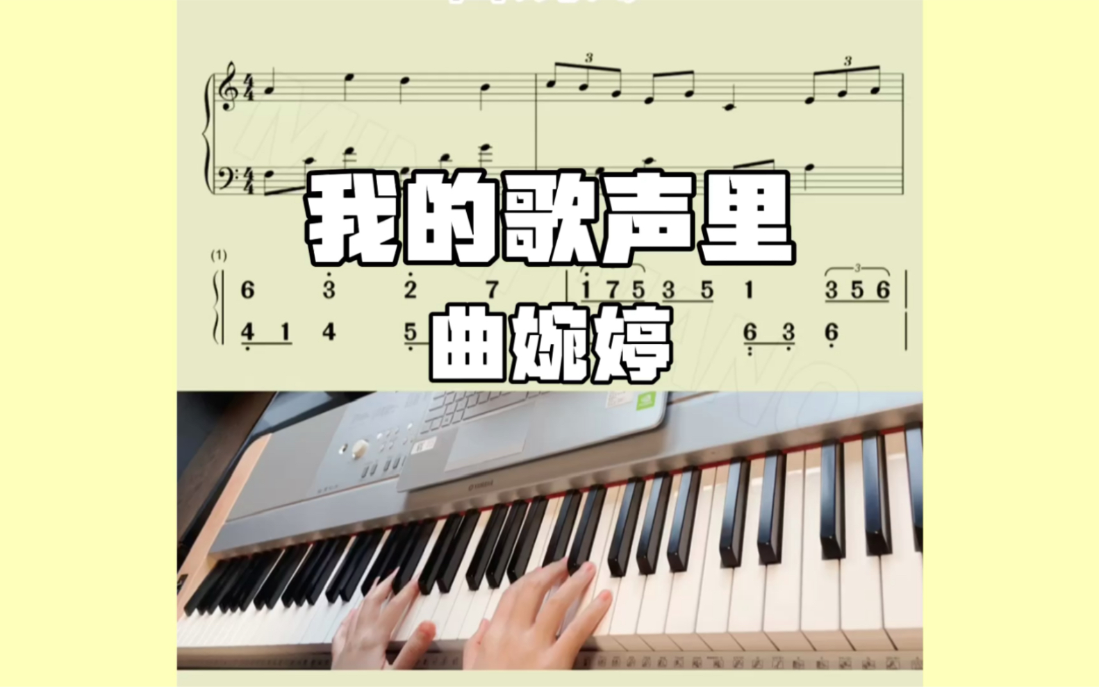 钢琴教学【我的歌声里】曲婉婷 五线谱 简谱哔哩哔哩bilibili