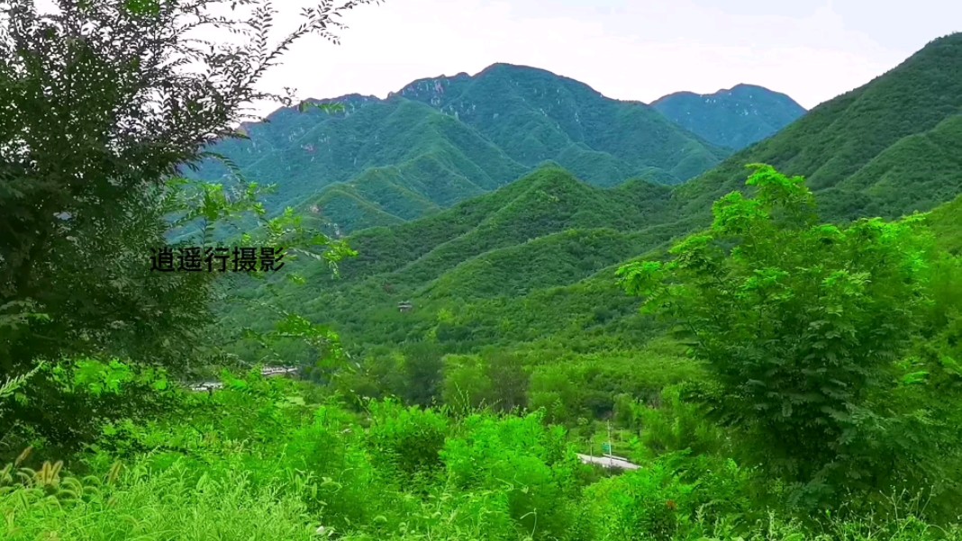 多场大雨过后,北京终于迎来凉爽秋日,在山里闲逛,大个棉蝗(油蚂蚱)跑到路边晒太阳,处处是蝈蝈欢叫声.哔哩哔哩bilibili