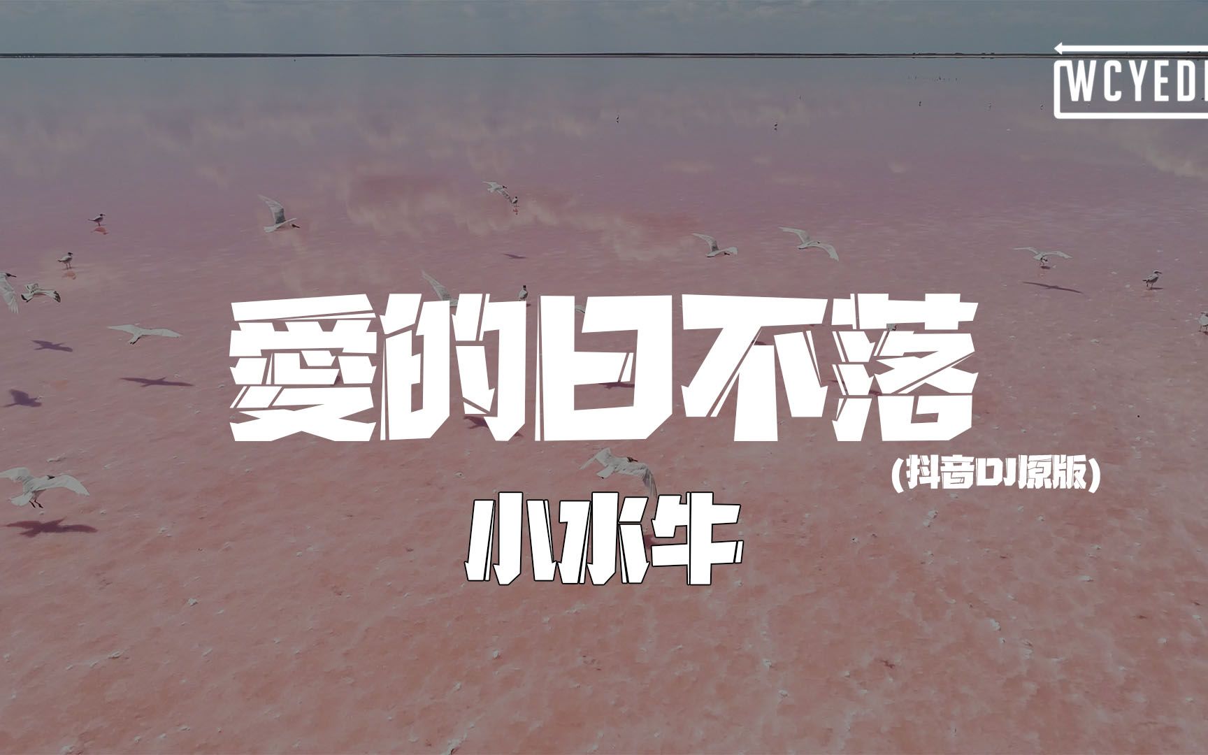 小水牛  爱的日不落 (抖音DJ原版)「光阴 就像那流水 生活 仍碌碌无为」【动态歌词/p䫮 y䫮 g䓠c㭣€‘哔哩哔哩bilibili