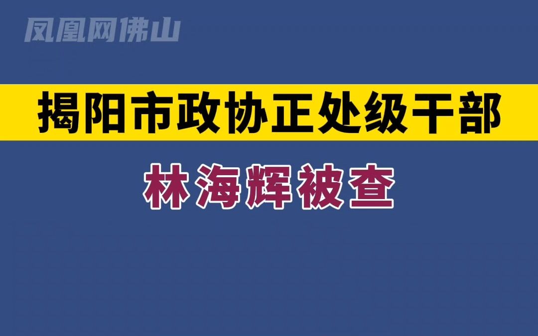 揭阳市政协正处级干部林海辉被查哔哩哔哩bilibili