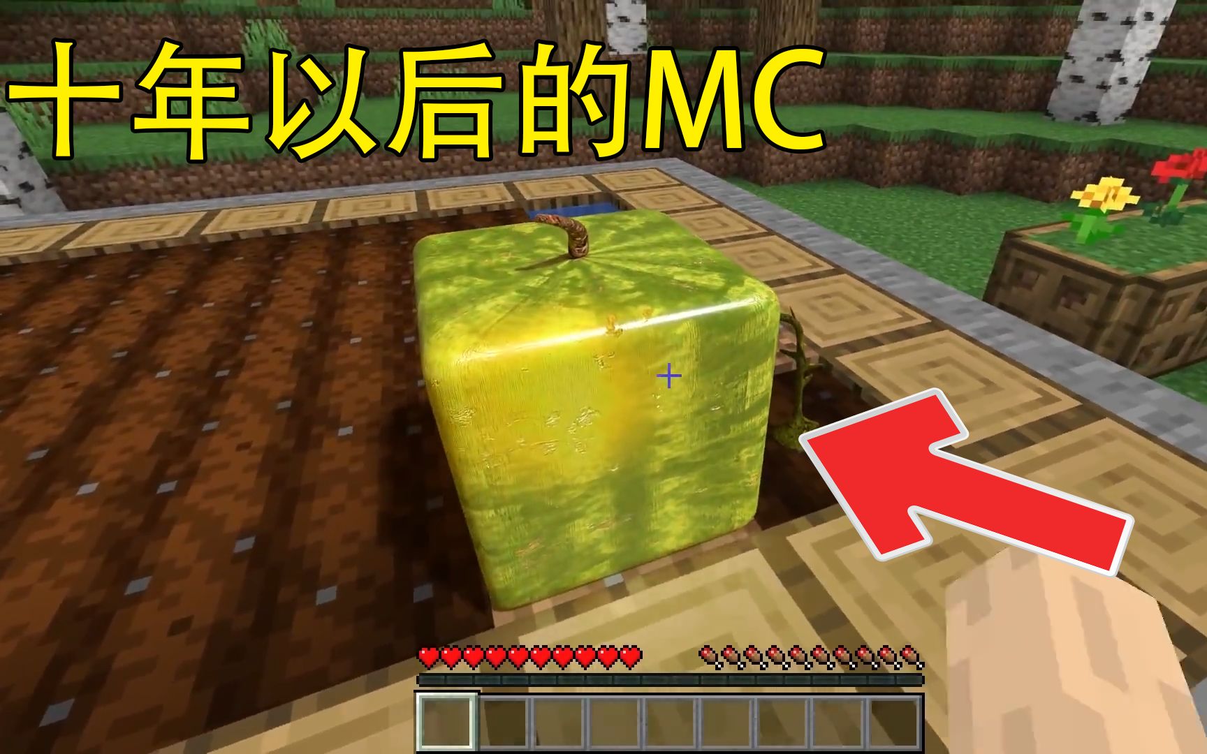 我的世界:十年以后的mc!这西瓜太真实了吧!